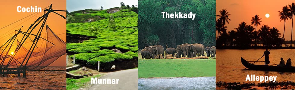 Cochin-Munnar-Thekkady-Alleppey - Cochin Drop